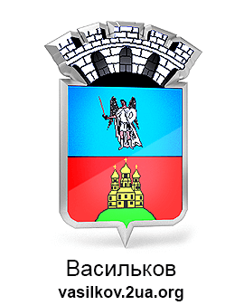 Website of Vasylkiv